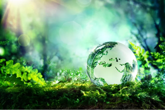 A glass globe with a green map design resting on lush forest moss, symbolizing the connection between Earth and environmental sustainability.