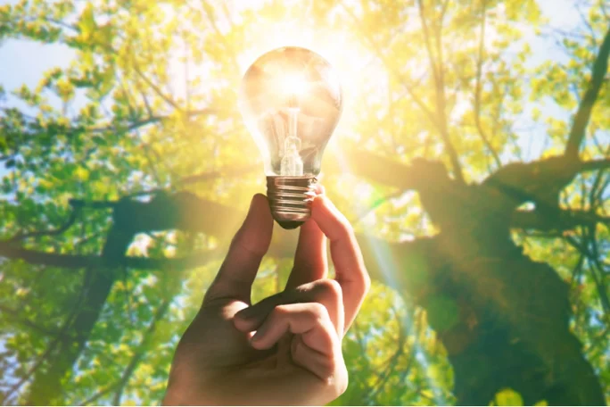 Person holding light bulb