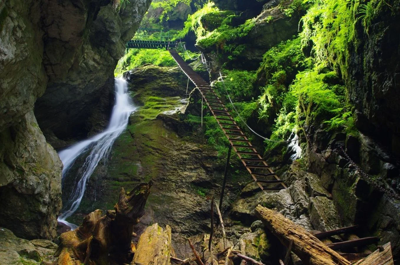Eine malerische Schlucht mit einem kleinen Wasserfall, Holzleitern und moosbedeckten Felsen in einem grünen Wald.