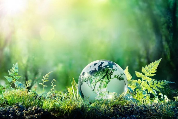 A glass globe nestled among vibrant greenery, symbolizing global environmental awareness and the importance of sustainable practices for a healthier planet.