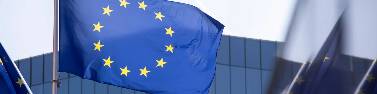 EU flag: blue flag with yellow stars on it