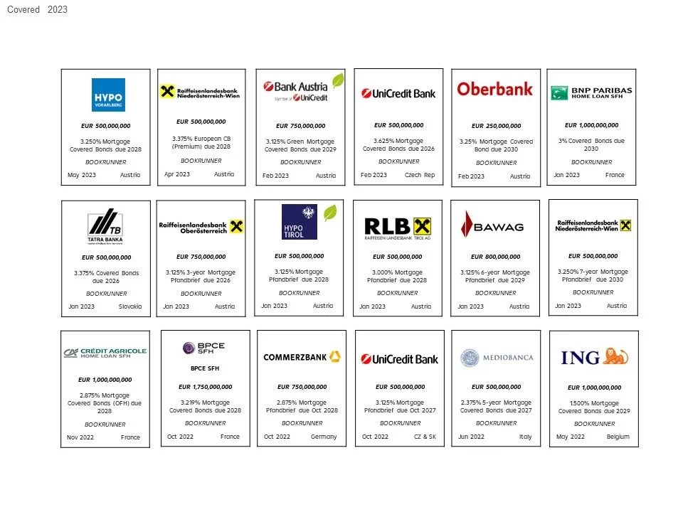 Overview Financial Institution Bonds lead-managed by RBI