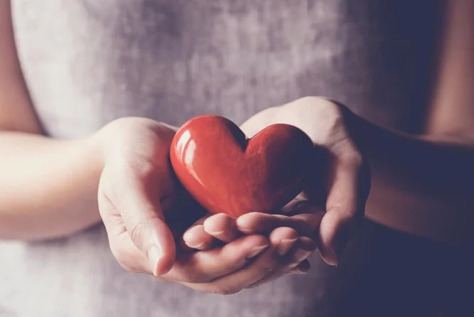 Eine Nahaufnahme von Händen, die sanft ein rotes herzförmiges Objekt halten, das Liebe und Fürsorge symbolisiert.