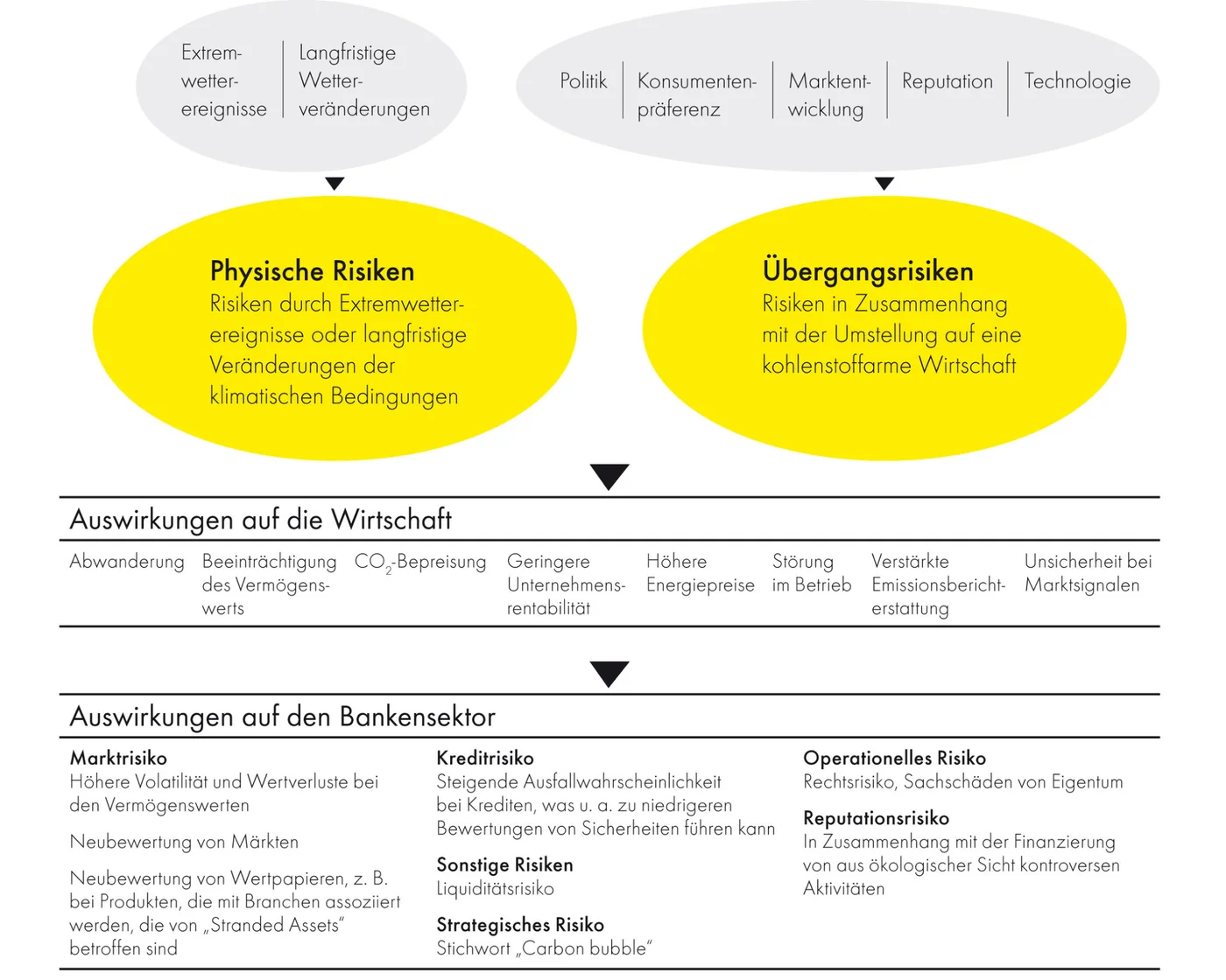 Diagramm, das die physischen und transitorischen Risiken im Zusammenhang mit dem Klimawandel veranschaulicht – einschließlich deren Auswirkungen auf Wirtschaft und Finanzsystem, wie Migration, CO₂-Bepreisung, Marktvolatilität und Kreditrisiko.