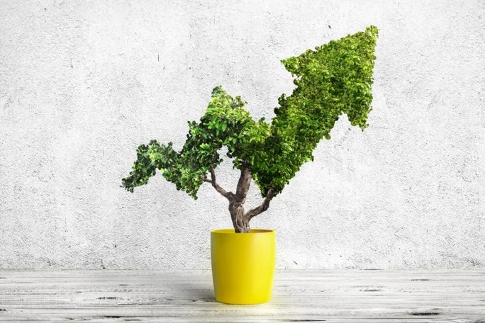 Eine grüne Pflanze in einem gelben Blumentopf ist wie ein nach oben zeigender Pfeil geschnitten und steht auf einer Holzoberfläche vor einer weißen Wand.