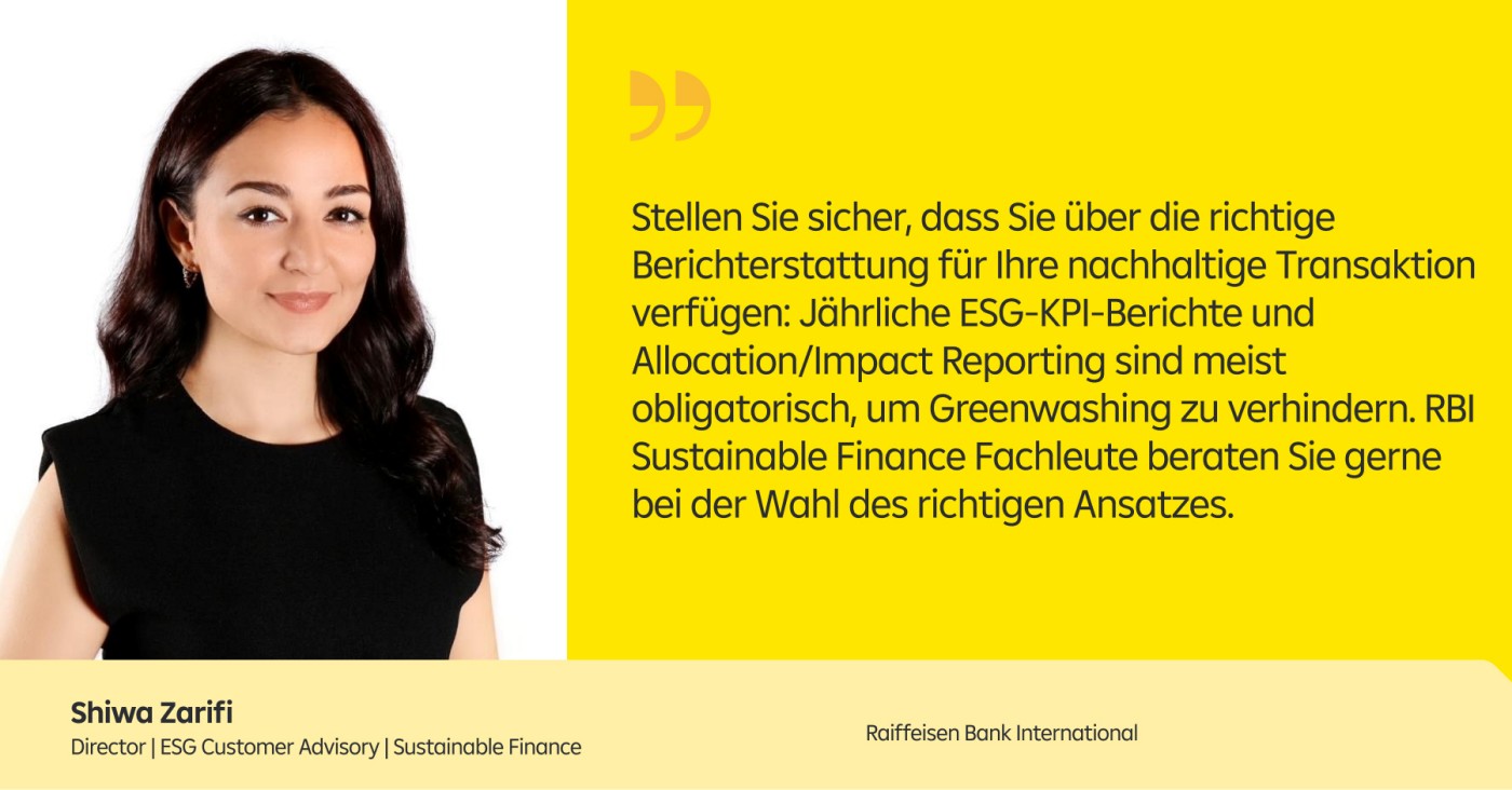 Sustainability Frameworks Zitat Zafiri