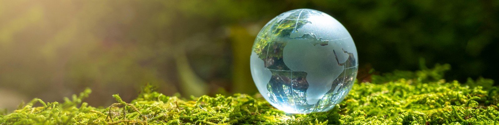 A globe made of glass is lying on moss