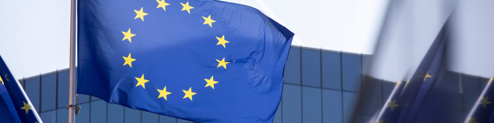 EU flag: blue flag with yellow stars on it