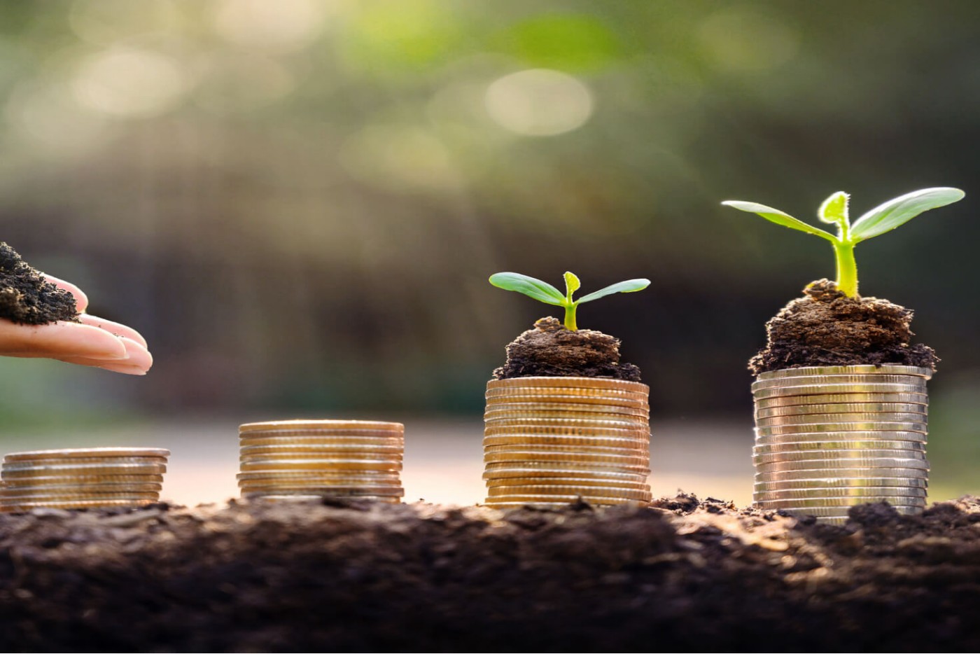 Symbolbild von Setzlingen, die aus Münzstapeln wachsen – veranschaulicht das Konzept, Investitionen zu fördern und finanzielles Wachstum sowie Nachhaltigkeit zu erzielen.